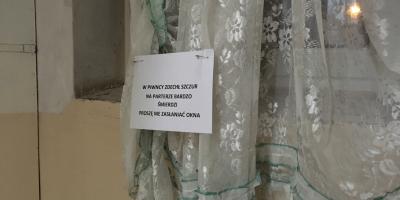 Czym mogą zarazić nas szczury?